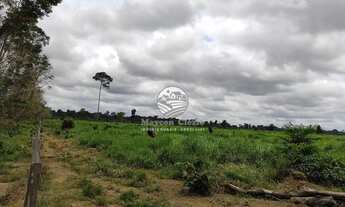 Imagem 6: Itapuã do Oeste - Sítio - 41 Alqueires