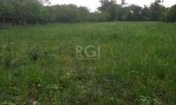 Imagem 3: Porto Alegre - Terreno Padrão - Campo Novo