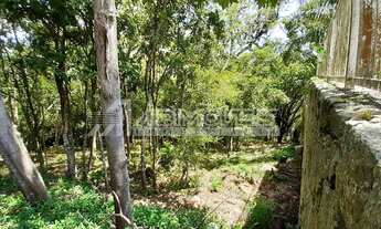 Imagem 6: TERRENO - LAGOA DA CONCEIÇÃO