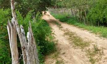 Imagem 3: SÍTIO A 300M DA BR232 VITORIA SANTO ANTÃO