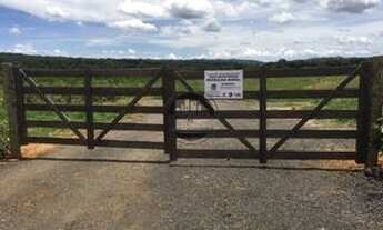 Imagem: Chácara PRODUTIVA Zona Rural, Hidrolândia