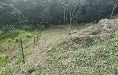 Imagem 5: Vendo granja 506 M