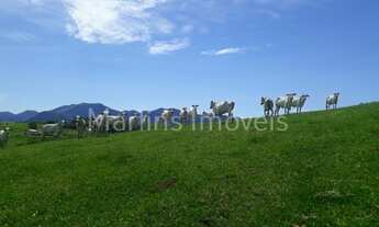 Imagem 3: Fazenda/Sítio/Chácara para venda possui 200000 metros quadrados com 3 quartos