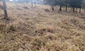 Imagem 4: Fazendinha Itaguara - 16 hectares