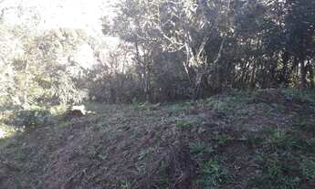 Imagem 6: Terreno em Franco da Rocha