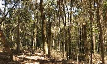 Imagem 4: Terreno à venda, 1494 m² por R$ 150.000,00 - Ville Saint James I - Campo Limpo Paulista/SP