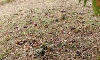 Imagem 4: Terreno à venda, 748 m² por R$ 390.200,00 - Jardim Bandeirantes - Sorocaba/SP