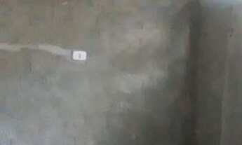 Imagem 5: Casa pra alugar em Camaragibe