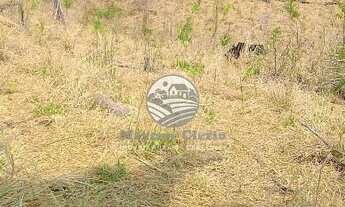 Imagem 5: Vale do Anari - Sítio - Vale do Anari