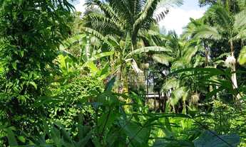 Imagem 2: Terreno à venda, 3464 m² por R$ 2.100.000,00 - Centro (Pirabeiraba) - Joinville/SC