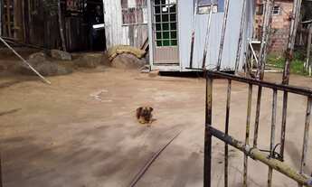 Imagem 3: TERRENO COM CASA DE BARBADA VALOR 15.000