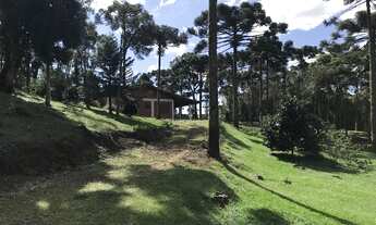 Imagem 5: Sítio Campo Alegre 104.806m² - Excelente Casa