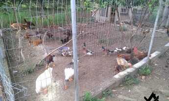 Imagem 2: Chácara a venda em Cocalzinho Condomínio Parque das Águas com area de lazer...