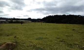 Imagem 4: Terreno para Venda em Sarapuí, Bairro das Congonhas