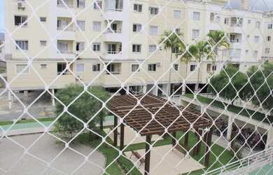 Imagem 3: PALHOçA - Padrão - Pagani