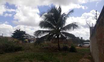 Imagem 2: Terreno pechincha em parparnamirim