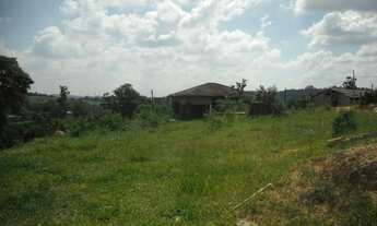 Imagem 3: Excelente terreno