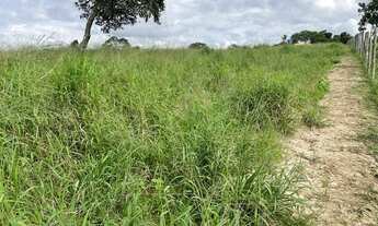 Imagem 4: FAZENDINHA TOP Fazenda / sítio com venda por R$870.000