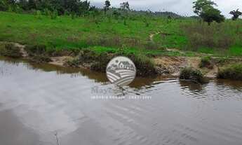 Imagem 4: Alto Paraíso - Fazenda - 65 Alqueires