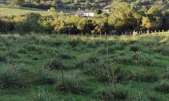 Imagem 2: Vendo sítio 26 hectares