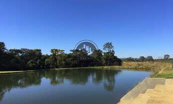 Imagem 7: Chácara PRODUTIVA Zona Rural, Hidrolândia, GO