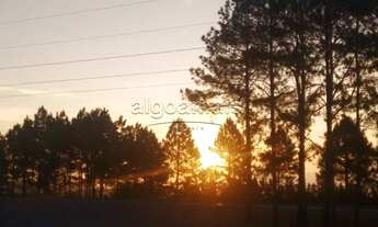 Imagem 4: CAPãO DA CANOA - Terreno Padrão - Condominio Terrasul