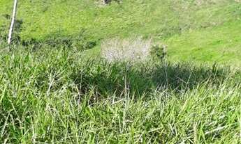 Imagem 6: Fazenda com 172,06 Ha em Laje