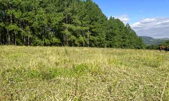 Imagem: Sítio de de 1500m²