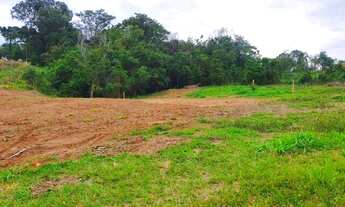 Imagem 7: ÚLTIMO SÍTIO COM ESCRITURA E PARCELAMENTO DIRETO