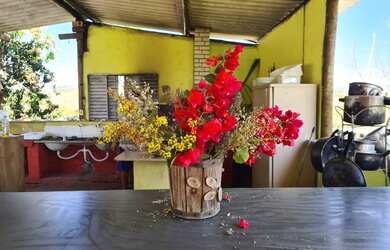 Imagem 6: Chácara em Luziânia( vale dos chalés