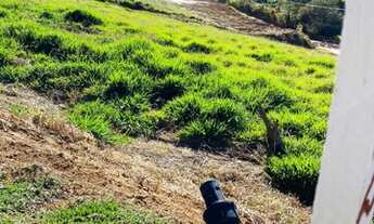 Imagem 5: Excelente lote de 1000 M², pronto para você construir..