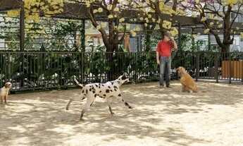 Imagem 3: PELOTAS - Padrão - Três Vendas