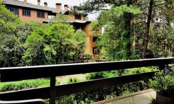 Imagem 7: GRAMADO - Padrão - Centro