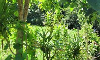 Imagem 7: Terreno em condomínio Albuquerque, 700m² plano