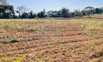 Imagem 5: CHÁCARA 1.000M COM FINANCIAMENTO DIRETO COM PROPRIETÁRIO