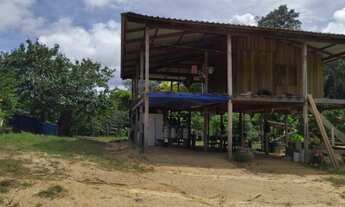 Imagem 3: Fazenda com 3000 hectares em Presidente Figueiredo/AM, a 185 km de Manaus. A 14 km da BR