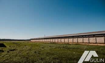 Imagem 4: Fazenda para Venda em Tijucas do Sul