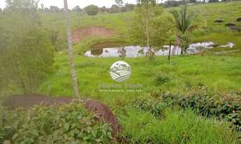 Imagem 2: Machadinho D'Oeste - Sítio - 18 Alqueires