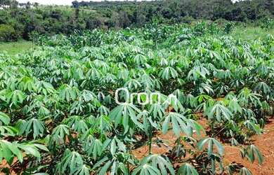 Imagem 7: Chácara com 5 dormitórios à venda, 27000 m² por R$ 1.150.000,00 - Zona Rural - Anápolis/GO