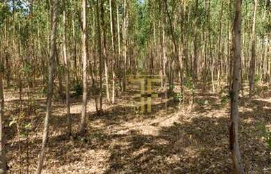 Imagem 5: Fazenda 5.570 Hectares, Balsas, MA