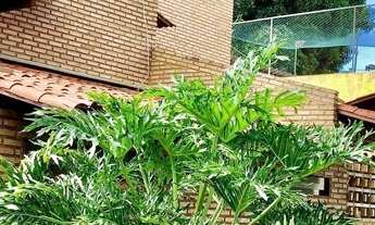 Imagem 6: Casa para venda com muita natureza e ar puro para você desfrutar de dias tranquilos