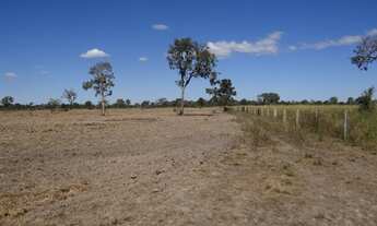 Imagem 2: Fazenda de 900 alqueires no vale do Araguaia em Sandolandia-To