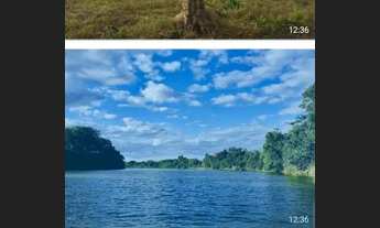 Imagem 2: Oportunidade! Vende-se uma excelente fazenda de 430 Hectares