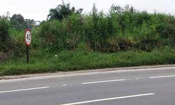 Imagem 1: Área Plana para Galpões ou Posto de Gasolina- 3.461M²