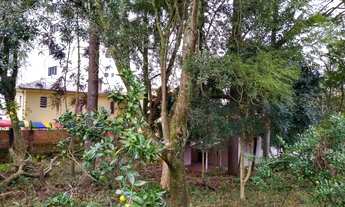 Imagem 6: CAXIAS DO SUL - Terreno Padrão - Centro