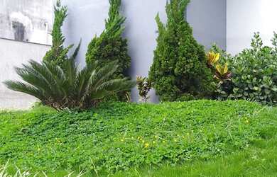 Imagem 3: AMPLO 3 QUARTOS NA CORONEL VEIGA. EXCELENTE. INVESTIMENTO