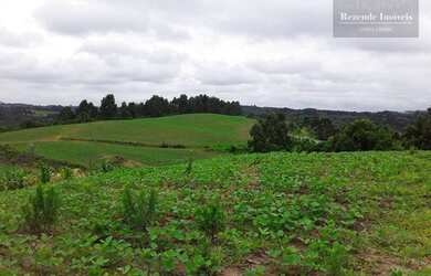 Imagem 2: Área Industrial à venda, 852244 m² por R$ 40.000.000 - Butiatuva - Campo Largo/PR