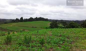 Imagem 7: Área Industrial à venda, 852244 m² por R$ 40.000.000 - Butiatuva - Campo Largo/PR