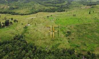 Imagem 5: Fazenda 254 Alqueires, Miranorte, TO