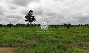 Imagem 5: Itapuã do Oeste - Sítio - 41 Alqueires